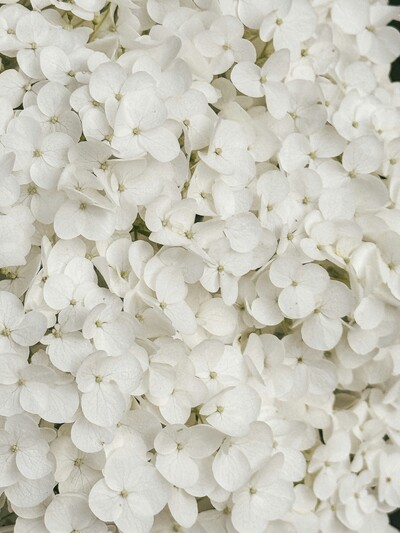 white flowers
